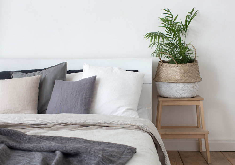 Plant in a bedroom