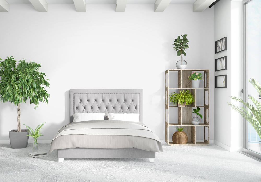 Plants bring a tranquil feeling to your indoor space and clean the air too.