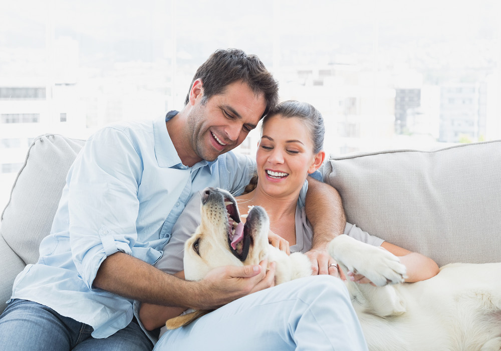 Couple sitting on couch with pet dog in their apartment.