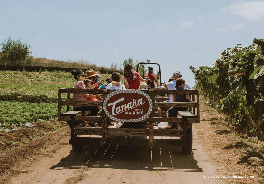 Wagon rides at Tanaka Farms in Orange County.