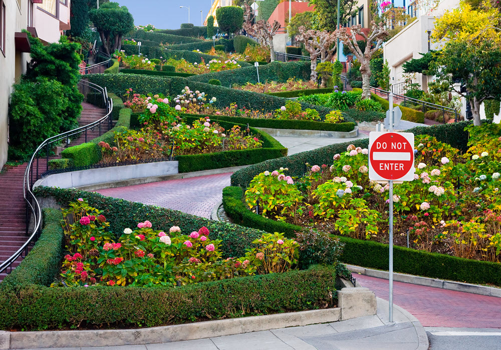 Public garden and walking path in San Francisco.