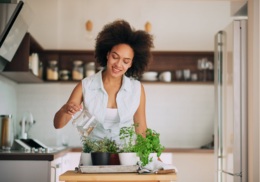 Woman starting an herb garden in her apartment home