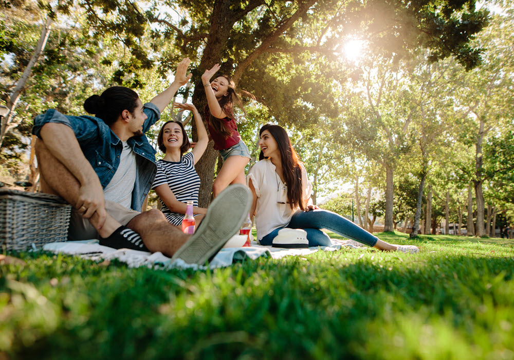 Group of friends having a picnic at a park.