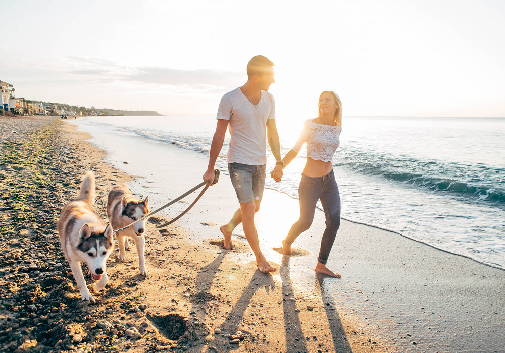 Couple walking their two dogs along beach.