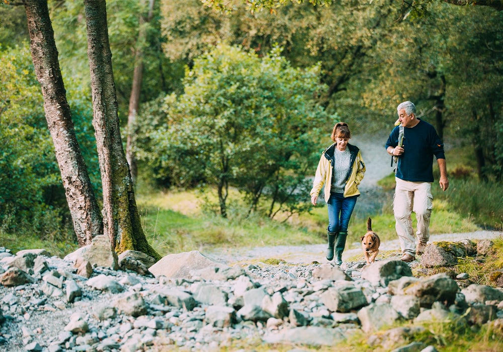Seattle's Best Spots for Dogs and Their Humans - Hiking